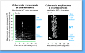 AUMENTO DE LA COHERENCIA CEREBRAL CON LA MEDITACIÓN TRASCENDENTAL 1